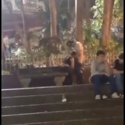 人の多い公園でセックスしていたら警官に止められたｗｗｗ