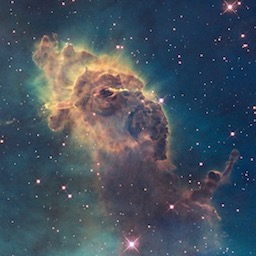 間違えて入った女子更衣室で生着替えを見学