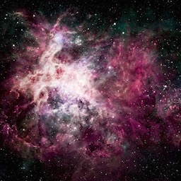 弟に痴漢をやめさせるためにスッキリさせてあげた