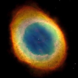 【寝取られ】自慢の妻を酔わせて同僚に…